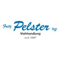 Fritz Pelster KG in Westerkappeln - Logo