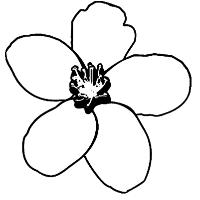 Apfelblüte Style & Accessoires in Dinkelscherben - Logo