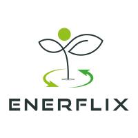 Enerflix Energie- und Unternehmensberatung Alexander Herding in Münster - Logo