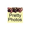 Pretty Photos in Panketal - Logo