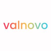 Webdesign & E-Commerce Agentur - VALNOVO in Kernen im Remstal - Logo