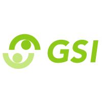GSI GmbH in Glauchau - Logo