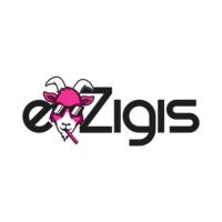 e-zigis in Wolfsburg - Logo