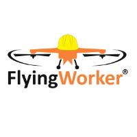 Flyingworker in Karlsruhe - Logo