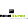 Molinari IT-Service in Söhlde - Logo