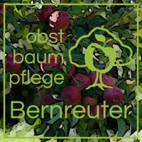Obstbaumpflege Bernreuter in Amberg in der Oberpfalz - Logo