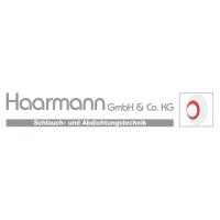 Haarmann GmbH & Co. KG in Mittenaar - Logo