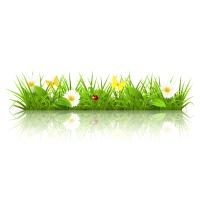 Gartenprofi-Bestensee in Bestensee - Logo