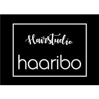 Hairstudio Haaribo in Köln - Logo