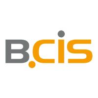 BCIS IT-Systeme GmbH & Co KG in Kassel - Logo