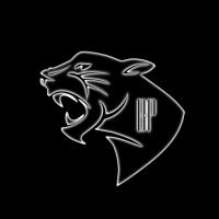 Black Panther Folien in Berlin - Logo