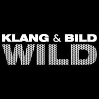 Klang und Bild Wild in Langen in Hessen - Logo