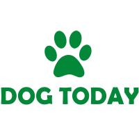 DogToday in München - Logo