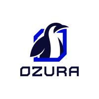 Ozura IT in Dülmen - Logo