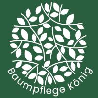 Baumpflege König in Halle (Saale) - Logo