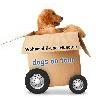 Wohnmobilvermietung Löchle - Wohnmobil und Hund in Taufkirchen Kreis München - Logo