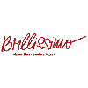 Brillissimo Optik in Essen - Logo