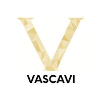 Vascavi GmbH in Köln - Logo