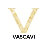 Vascavi GmbH in Köln - Logo