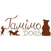 Tamimo Dogs - Hundebetreuung in Hamburg - Logo