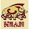Keltenstamm Benlauni in München - Logo