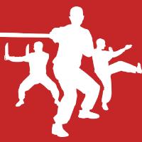 Ving Tsun Kung Fu in Chemnitz - Logo