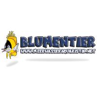 Blumentier Meerwasseraquaristik in Heddesheim in Baden - Logo