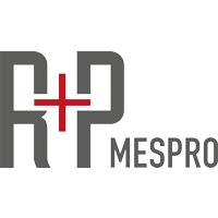 R + P MESPRO GmbH in Weingarten in Baden - Logo