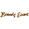 Brandy - Escort Nürnberg in Nürnberg - Logo