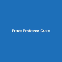 Praxis Professor Gross Internist in München - Logo