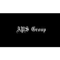 APS Group Wach- und Sicherheitsdienst GmbH in Biederitz - Logo