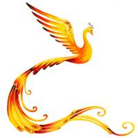 Dreamtouch Massagen Bremen in Bremen - Logo