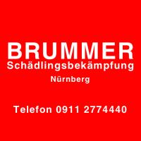 Brummer Schädlingsbekämpfung Nürnberg in Nürnberg - Logo