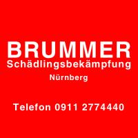 BRUMMER Schädlingsbekämpfung Nürnberg in Nürnberg - Logo