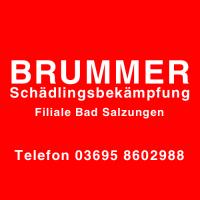 BRUMMER Schädlingsbekämpfung Filiale Bad Salzungen in Leimbach Kreis Bad Salzungen - Logo
