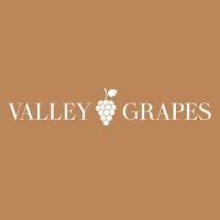 valleygrapes GmbH in Rellingen - Logo