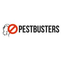pestbusters GmbH in Winterberg in Westfalen - Logo