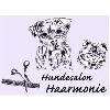 Hundesalon Haarmonie in Weidhausen bei Coburg - Logo