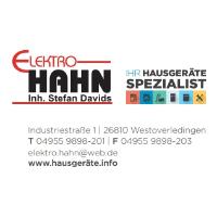 Elektro Hahn Inh. Stefan Davids in Leer in Ostfriesland - Logo