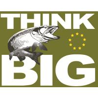 Think Big, Derenthal, Haese, Mucha UG (haftungsbeschränkt) in Schwerte - Logo