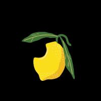 Lemon Brand Medien & Marketingagentur in Düsseldorf - Logo