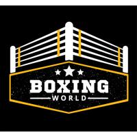 Boxingworld in Bielefeld - Logo