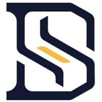 DS auto-solutions in Bad Salzdetfurth - Logo