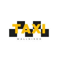 Kai Wallnisch TAXI in Strehla - Logo