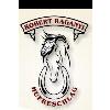 Hufschmied Robert Raganyi in Marktleuthen - Logo