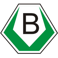 Autoschilder & Zulassungen Buffalo Schwäbisch Hall in Schwäbisch Hall - Logo