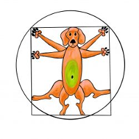 Susanne Görlitz - Stimmig in Bewegung - Hundephysiotherapie u. -osteopathie in Velbert - Logo