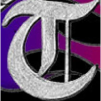 Terginum BDSM und Peitschen Onlineshop in Merzig - Logo