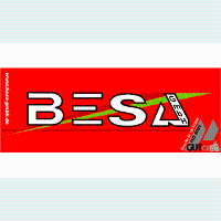BESA GmbH in Muldestausee - Logo