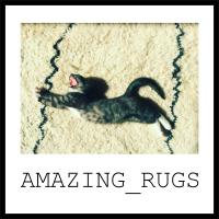 Amazing rugs in Düsseldorf - Logo